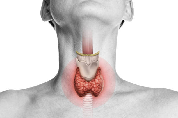 THYROID THYROID